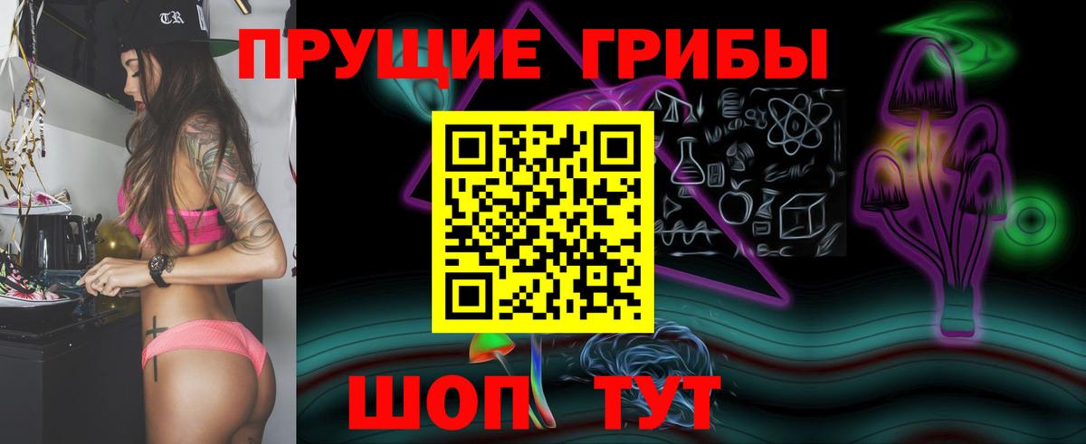 Медногорск  Галлюциногенные грибы мухоморы  Вход с VPN 