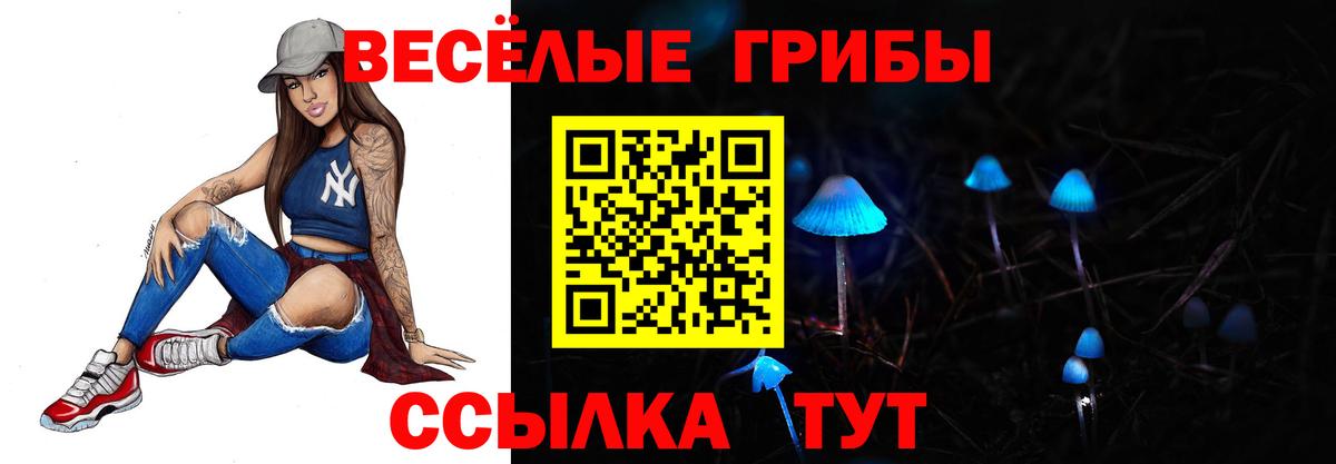 Псилоцибиновые грибы мицелий Медногорск